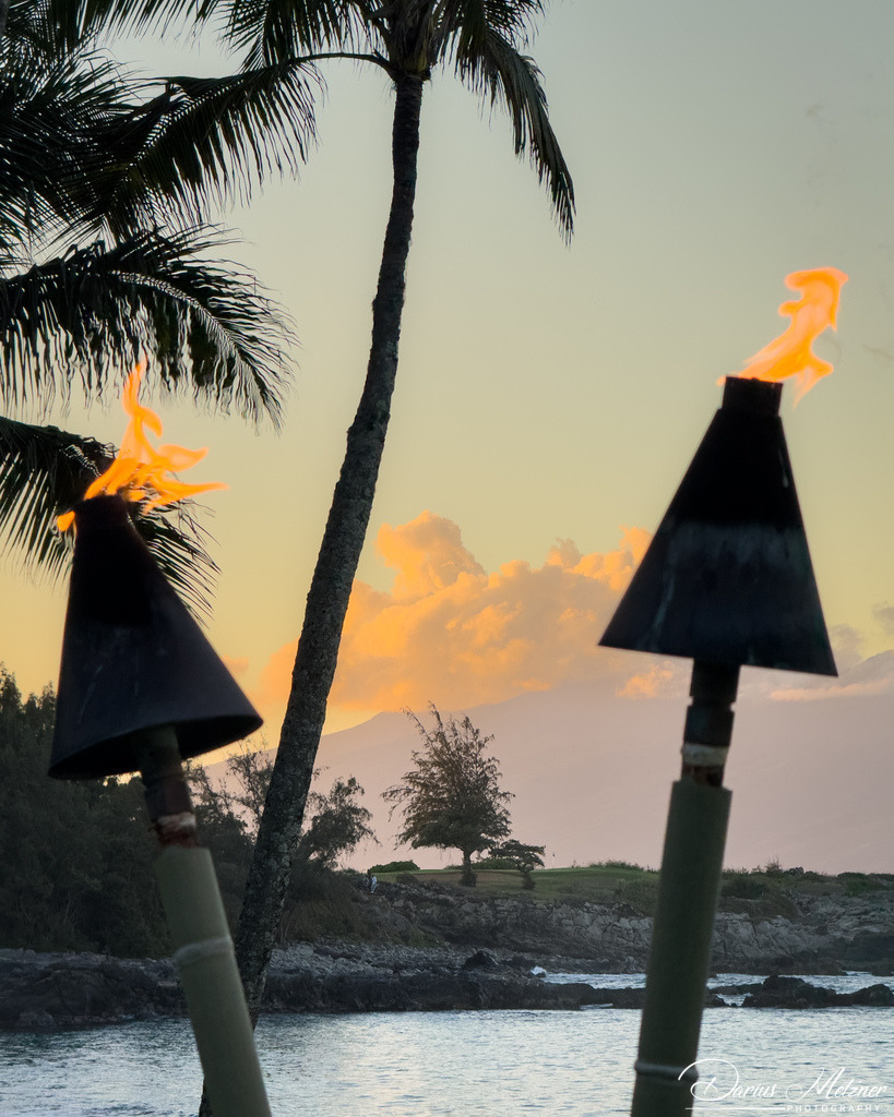 IMG_2193 | Fotografien, Fotos und Bilder aus Mainz, Frankfurt, Wiesbaden und anderen Orten auf der Welt - Fotografiert von Darius Metzner