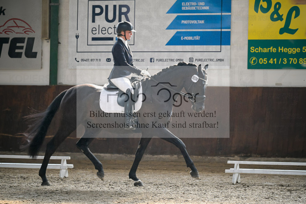 Reitturnier Voxtrup | Entdecke hochwertige Reitturnierfotos von Foto Oger. Professionell, emotional und authentisch – jetzt Lieblingsmomente im Shop bestellen.Deutschlandweite Turnierfotografie. - Realisiert mit Pictrs.com