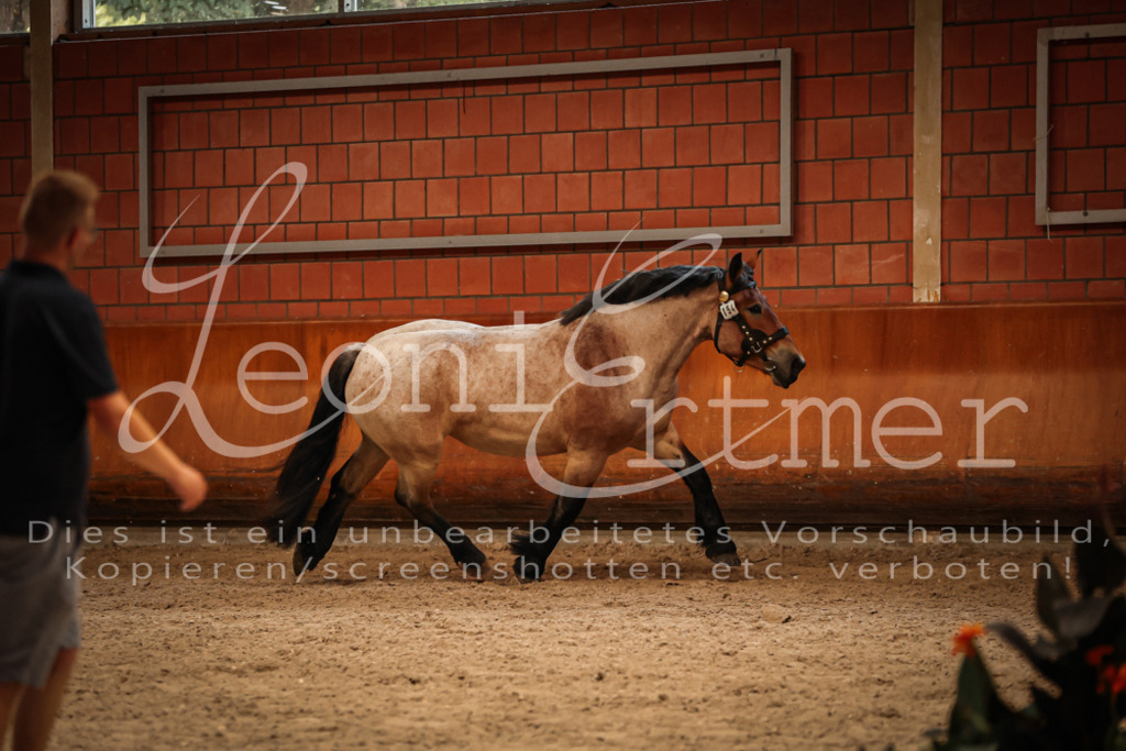 SaFL00317 | Leoni Ertmer Photography - Realisiert mit Pictrs.com