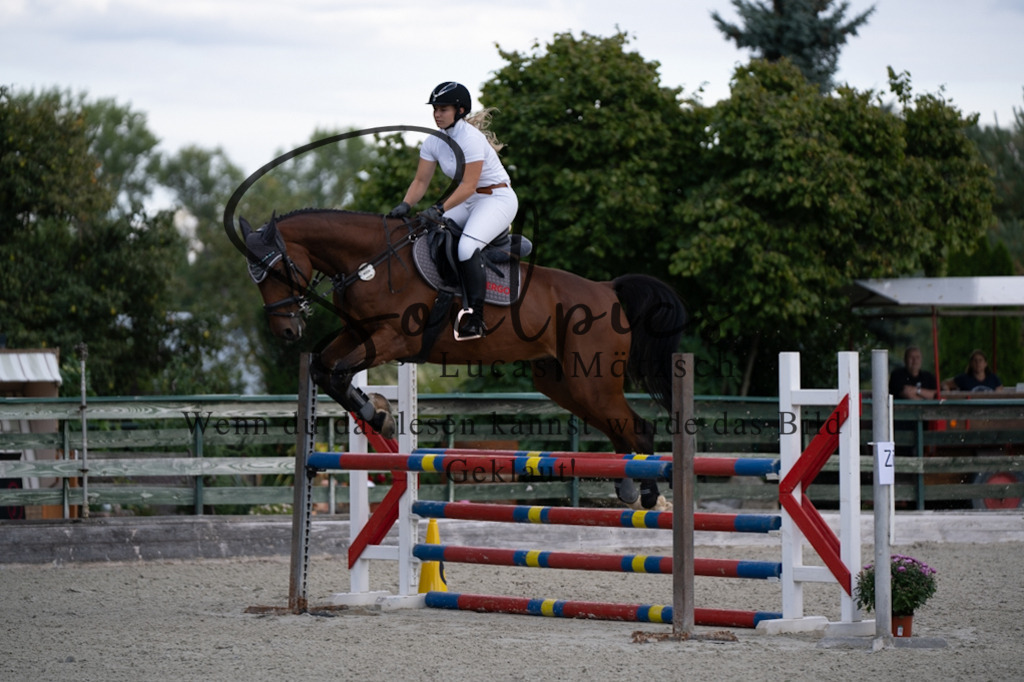 A7V07777 | Turnier/Reitfotograf