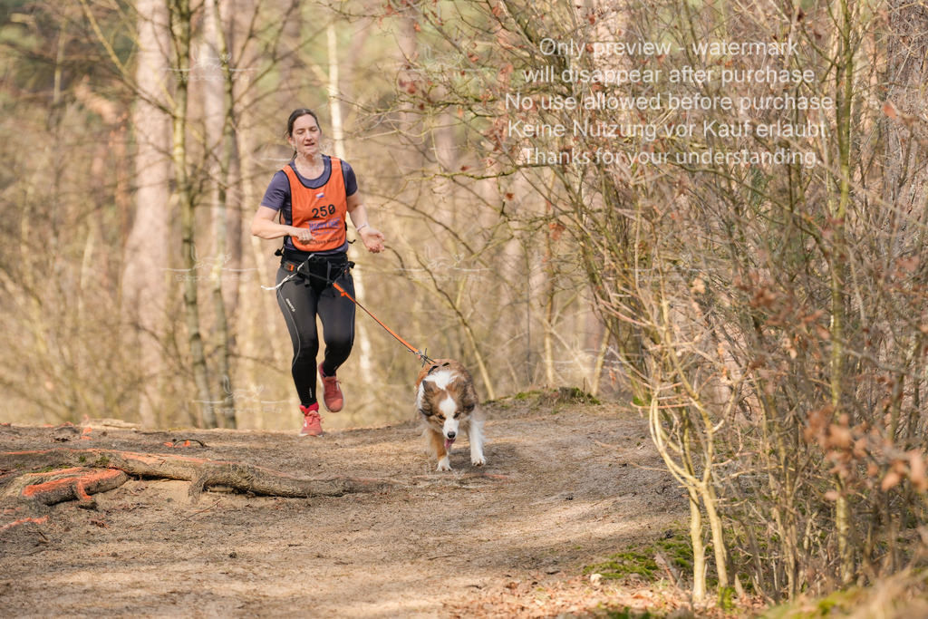 LangeCross_So-403 | stephaniefillaphotographie - Realisiert mit Pictrs.com