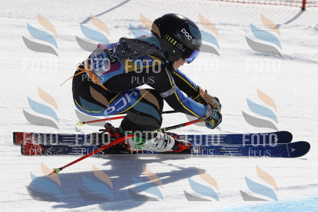 _U3G9597 | holidayphoto