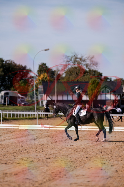 2026_10_03_Siefer-Hof_115444_Z81_94561598 | Professionelle Reitsport-, Turnier- und Eventfotografie von Robert Broda. Galerien mit ausgewählten und bearbeiteten Bildern direkt online ansehen und bestellen.