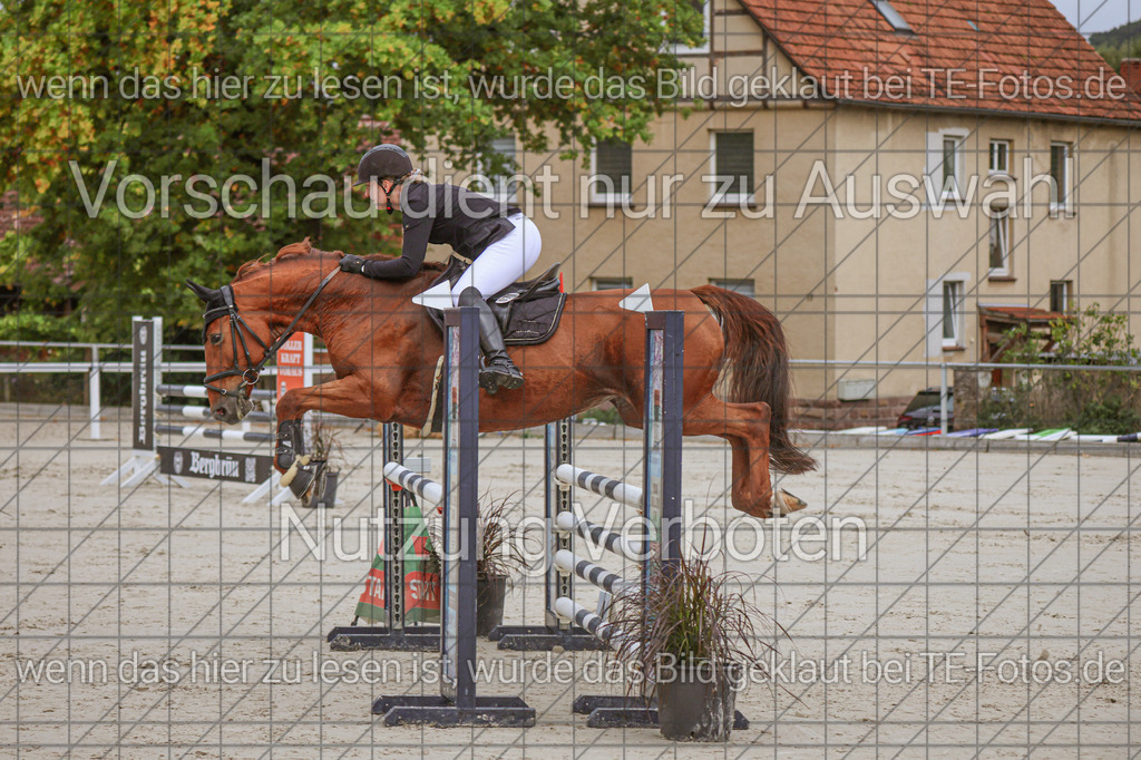 2025-09-22_09-41-08_MG_4276 | TE-Fotos