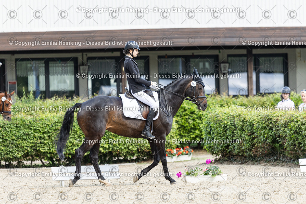 CL5A6068-2 | Emilia Reinking Fotografie - Realisiert mit Pictrs.com