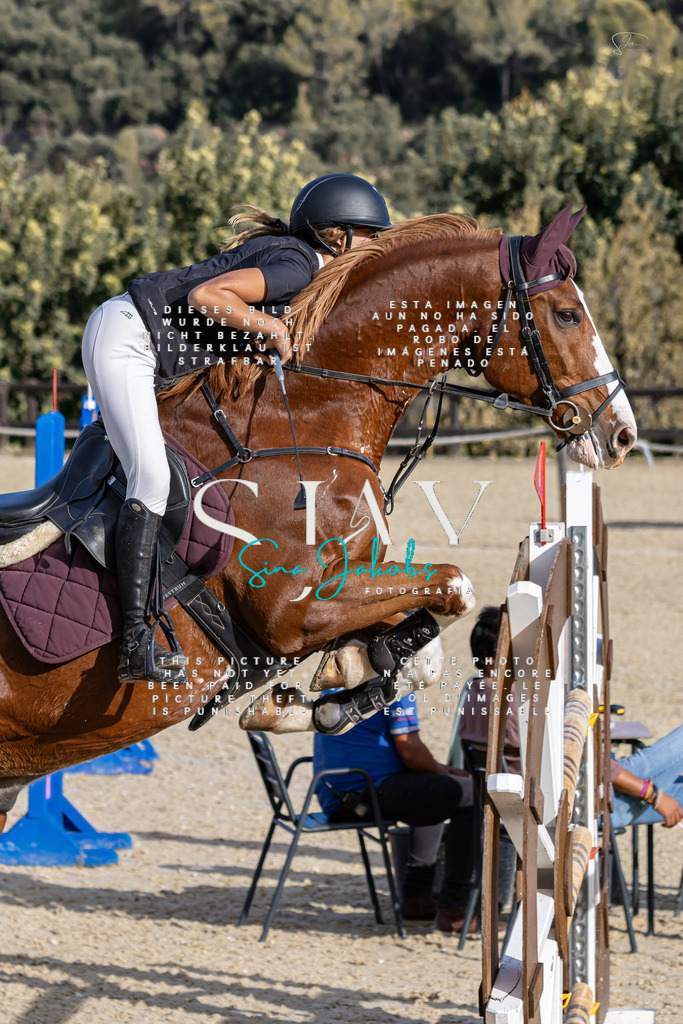 IMG_0183 | s-jay-photography - Realisiert mit Pictrs.com