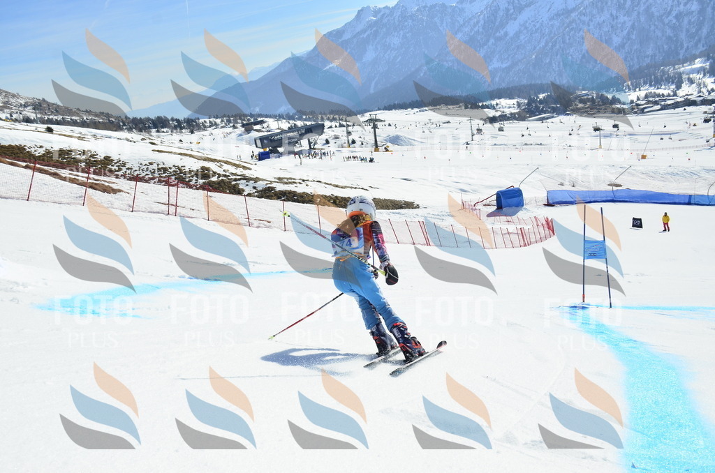 _ELE0365 | holidayphoto