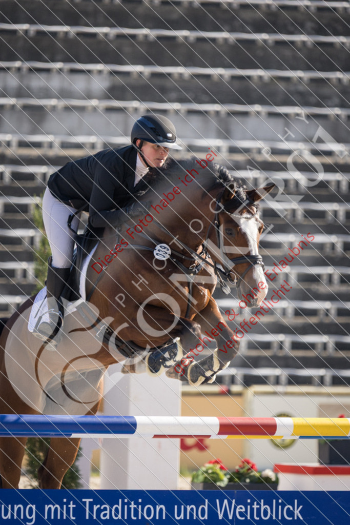 IMG_2870 | Sport-, Event- und Tierfotos in Profiqualität. Einfach auswählen, bestellen und herunterladen. Dein Moment – perfekt festgehalten.