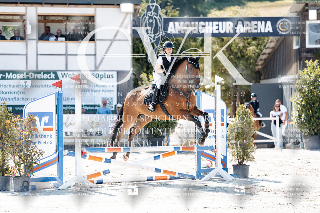 CK905131 | Turnierfotografie Pferdefotografie Trier Rheinland-Pfalz Pferdesport Reitsport Tierfotografie Sportfotografie Pferdevideo Pferdevideografie Equestrianvideography equestrianphotography  - Realisiert mit Pictrs.com