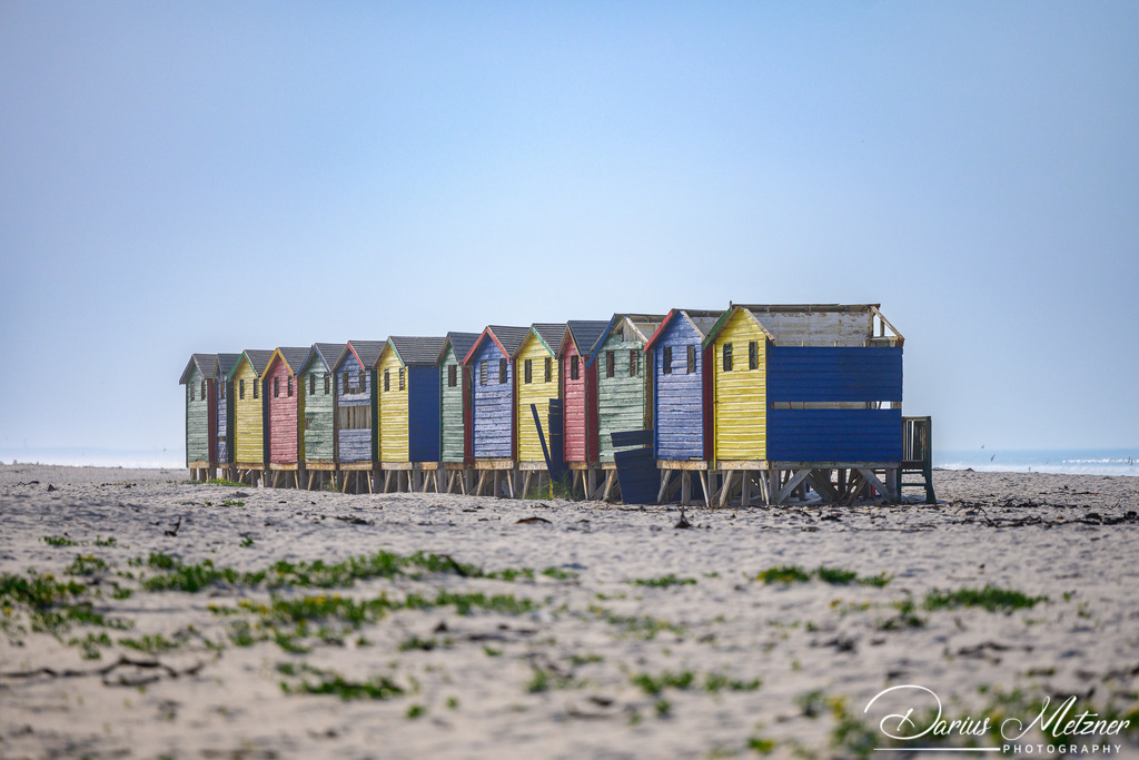 _DSC6518 | Fotografien, Fotos und Bilder aus Mainz, Frankfurt, Wiesbaden und anderen Orten auf der Welt - Fotografiert von Darius Metzner