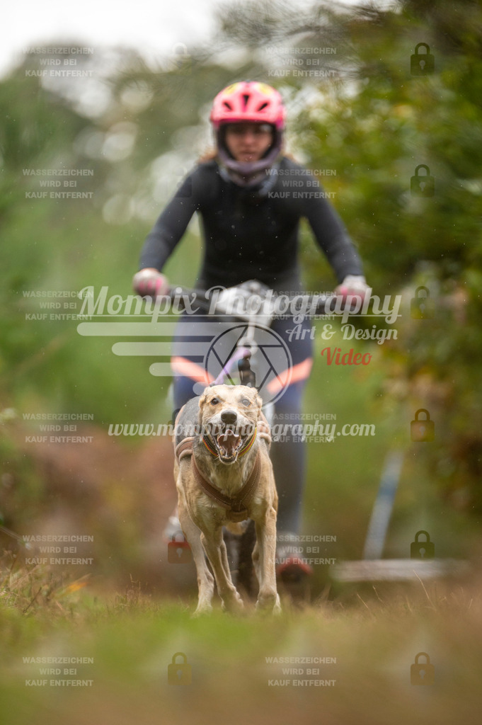 TSB_2023_E5_Bike-49 | PayLife