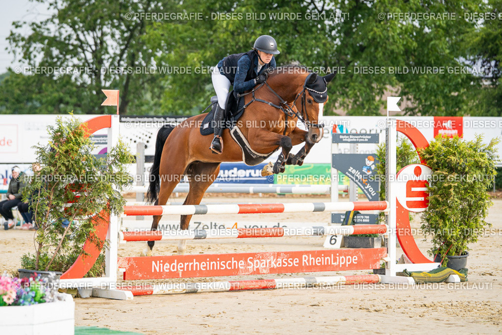 DSC08384 | Pferdegrafie