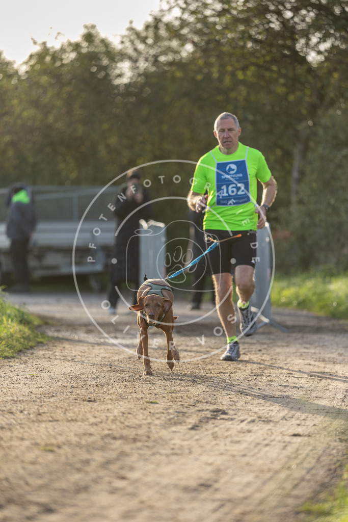 Pfotenfotografie.de_DV3A2683 | Hundefotografie, Tierfotograf, Pfotenfotografie, Fotoshooting Hund, Hunde Portrait, Hundesport, Hundeportraits, Heideshooting, Hunde, Sportfotograf, Hundefotograf, Turnierhundsport, THS, canicross - Realisiert mit Pictrs.com