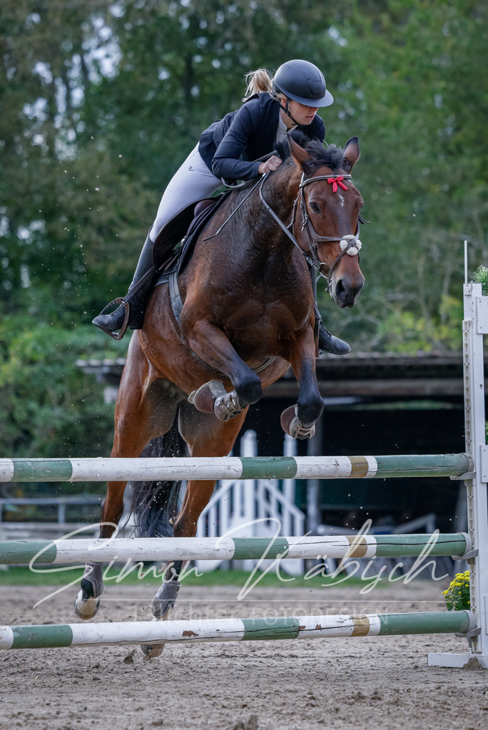 20251012-_3LI5295 | Tierfotografie Pferde, Hunde, Katzen, Haustiere.
Turnierfotografie Reitturniere, Reiten, Springreiten, Dressur in Hanau, dem Main-Kinzig-Kreis und dem Rhein-Main- Gebiet um Frankfurt