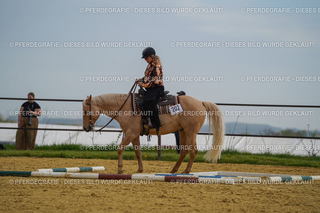 DSC02223 | Pferdegrafie