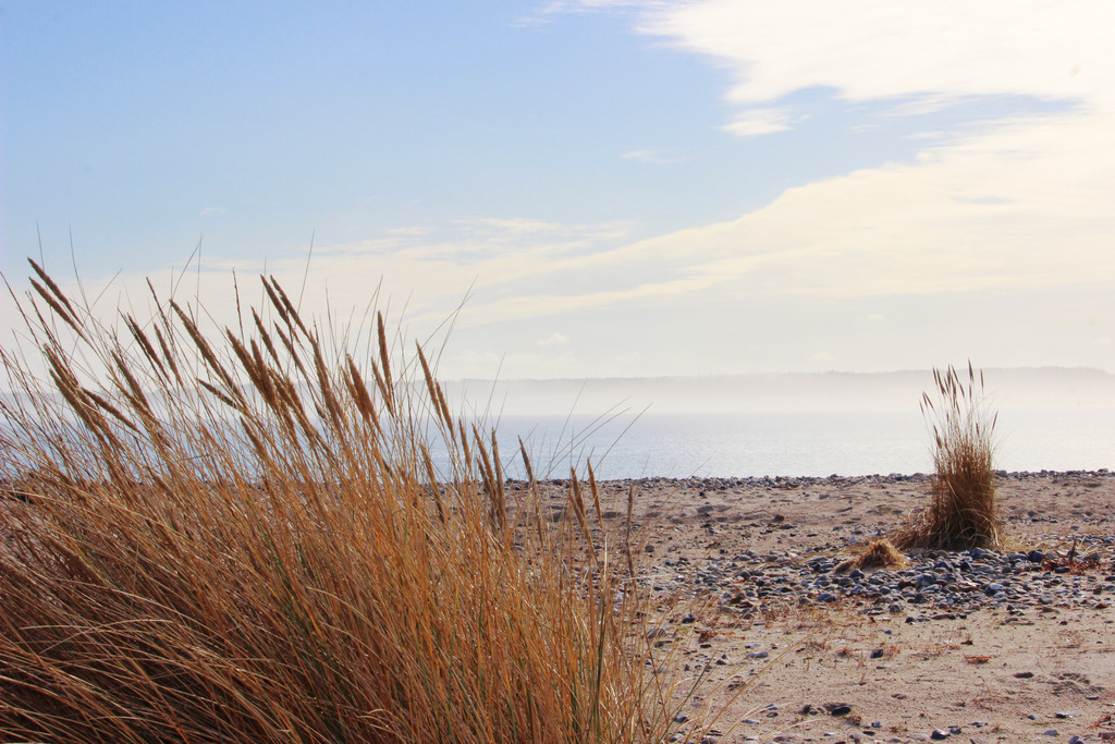 Wandbild: Zwischen Gräsern und Horizont – Ludwigsburg | Dieses Wandbild zeigt eine stille Küstenlandschaft bei Ludwigsburg, einem Ortsteil der Gemeinde Waabs in Schleswig-Holstein. Im Vordergrund wiegt sich goldener Strandhafer im Wind, dahinter breitet sich ein Naturstrand aus, der sanft ins ruhige Wasser übergeht. Der Himmel ist teils bewölkt, das Licht weich, und über dem Meer liegt ein feiner Dunst, der die Ferne in Pastelltöne taucht. Die Szene wirkt unberührt und klar – ein Moment der Stille, der die Gedanken weitet. Die Komposition lebt vom Spiel aus Textur und Leere, aus Nähe und Weite. Dieses Motiv eignet sich ideal als Wandbild für naturnahe Wohnkonzepte – ob als Leinwandbild, Acrylglasbild, Alu-Dibond FineArt Print oder als Akustikbild. Ein stilvoller Akzent für Wohnzimmer, Büro oder Ferienwohnung. - Realisiert mit Pictrs.com