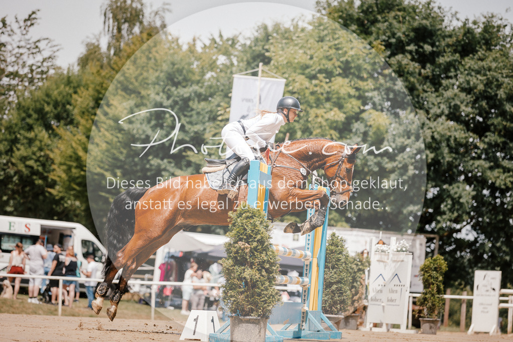 3I6A7736 | Stimmungsvolle Portraits und Reitsportfotografie im Ruhrgebiet und im Münsterland.

Pferdefotografie, Hundefotografie, Tierfotografie, Reportagen, Portraits von Tier und Mensch, Turnierfotografie in Bochum, Recklinghausen, Marl, Haltern am See, Dülmen.. - Realisiert mit Pictrs.com