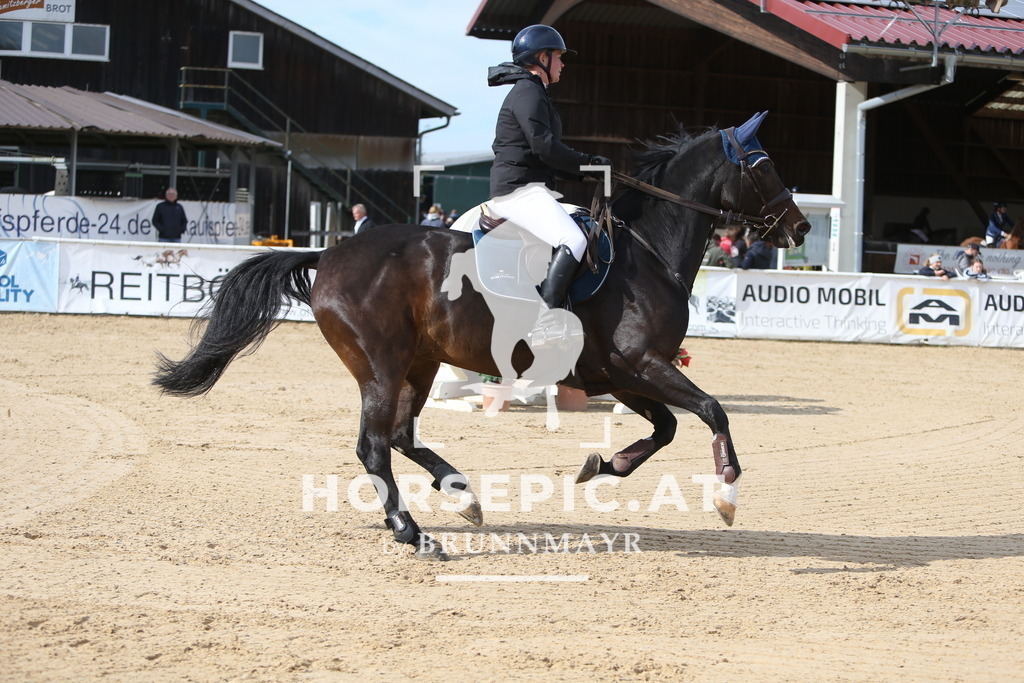 DL2Q5213 | Willkommen bei Brunnmayr - Design & Fotografie – Ihrem Spezialisten für Reitturniere und Pferdeveranstaltungen in Oberösterreich, Salzburg und Bayern! Seit über 17 Jahren sind wir leidenschaftlich dabei.
