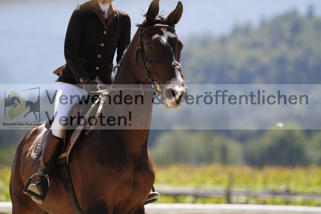 _MG_0955 | equestrian-live-com