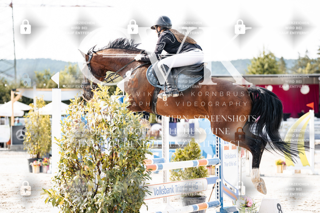 CK905659 | Turnierfotografie Pferdefotografie Trier Rheinland-Pfalz Pferdesport Reitsport Tierfotografie Sportfotografie Pferdevideo Pferdevideografie Equestrianvideography equestrianphotography  - Realisiert mit Pictrs.com