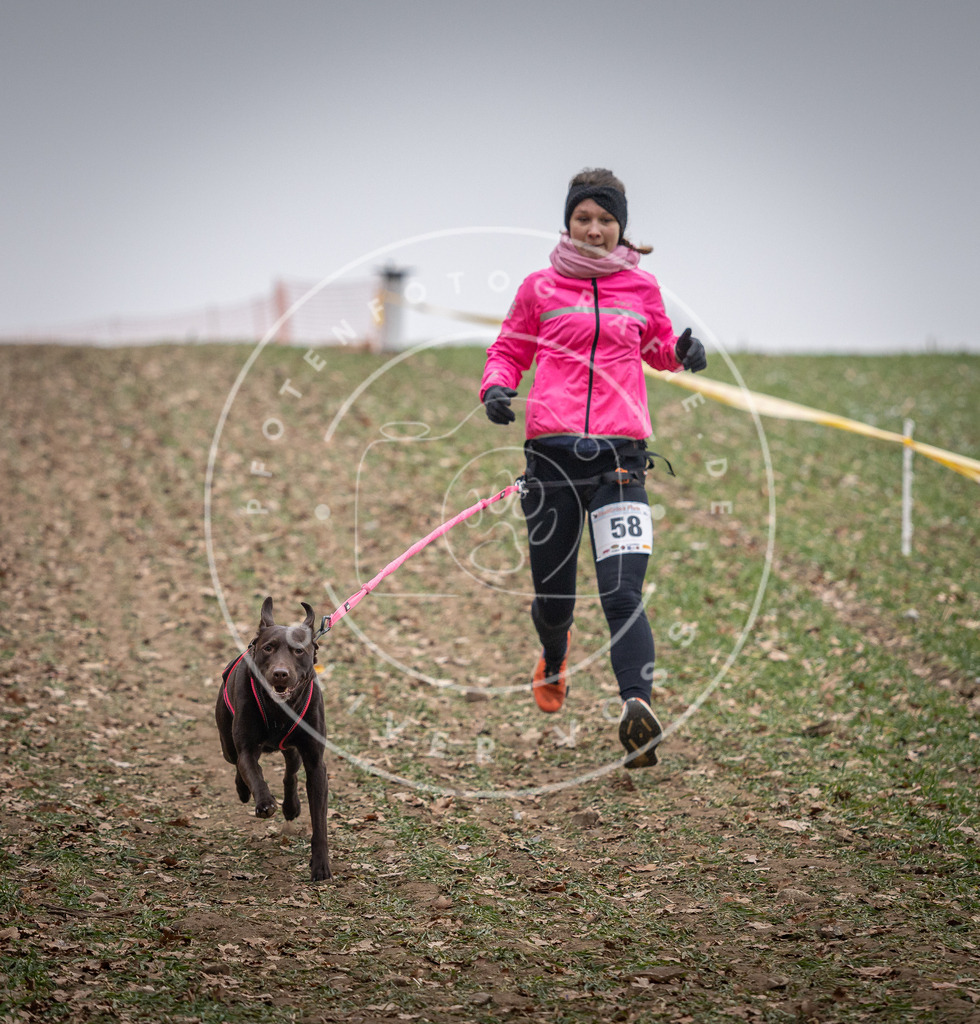 Pfotenfotografie_DV3A1833 | Hundefotografie, Tierfotograf, Pfotenfotografie, Fotoshooting Hund, Hunde Portrait, Hundesport, Hundeportraits, Heideshooting, Hunde, Sportfotograf, Hundefotograf, Turnierhundsport, THS,  - Realisiert mit Pictrs.com