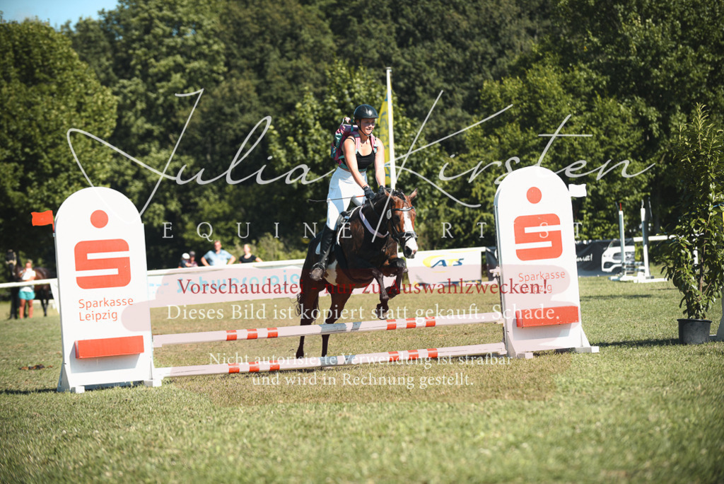 DSC_7436 | Pferde- und Turnierfotografie in Westsachsen. Pferdeportraits, Auftragszeichnungen und intuitive Kunst.