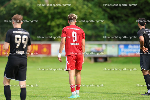 Fußball I Herren I Saison 2025-2026 I Verbandsliga Süd I 7. Spieltag I SV Schackendorf - SV Azadi Lübeck I 06.09.2025.160 | Manuel Carvalho (9, SV Schackendorf) - Realisiert mit Pictrs.com