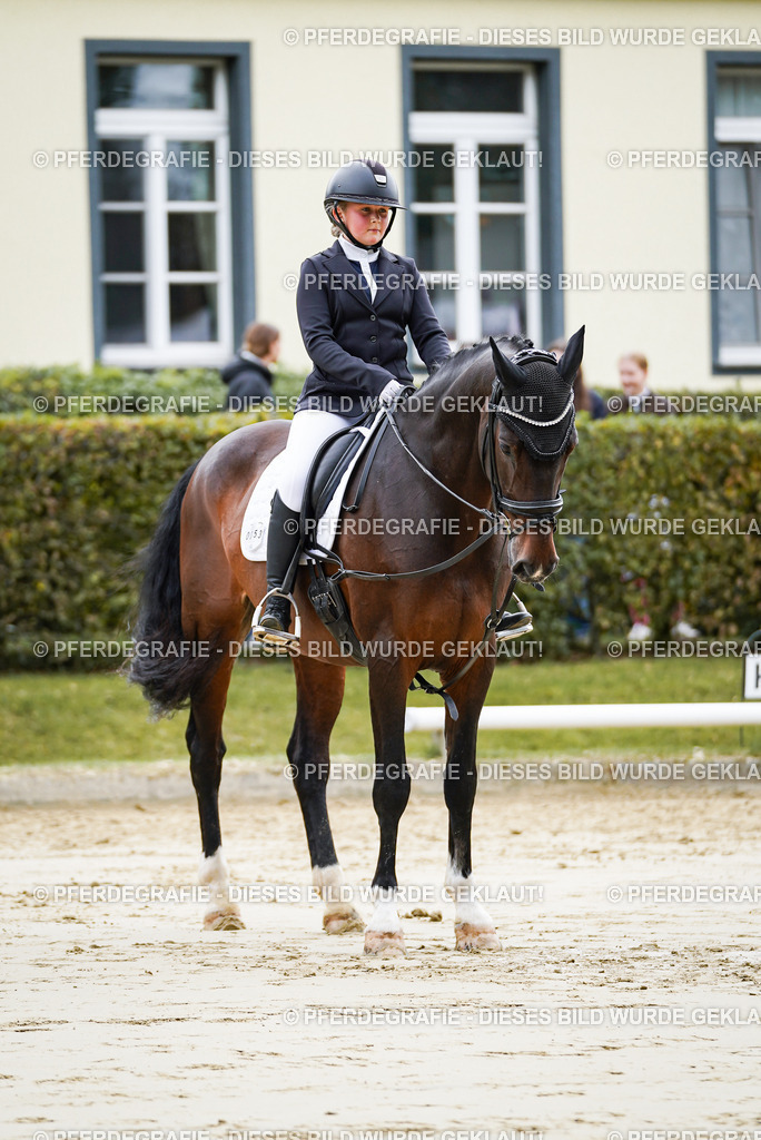 DSC04930 | Pferdegrafie