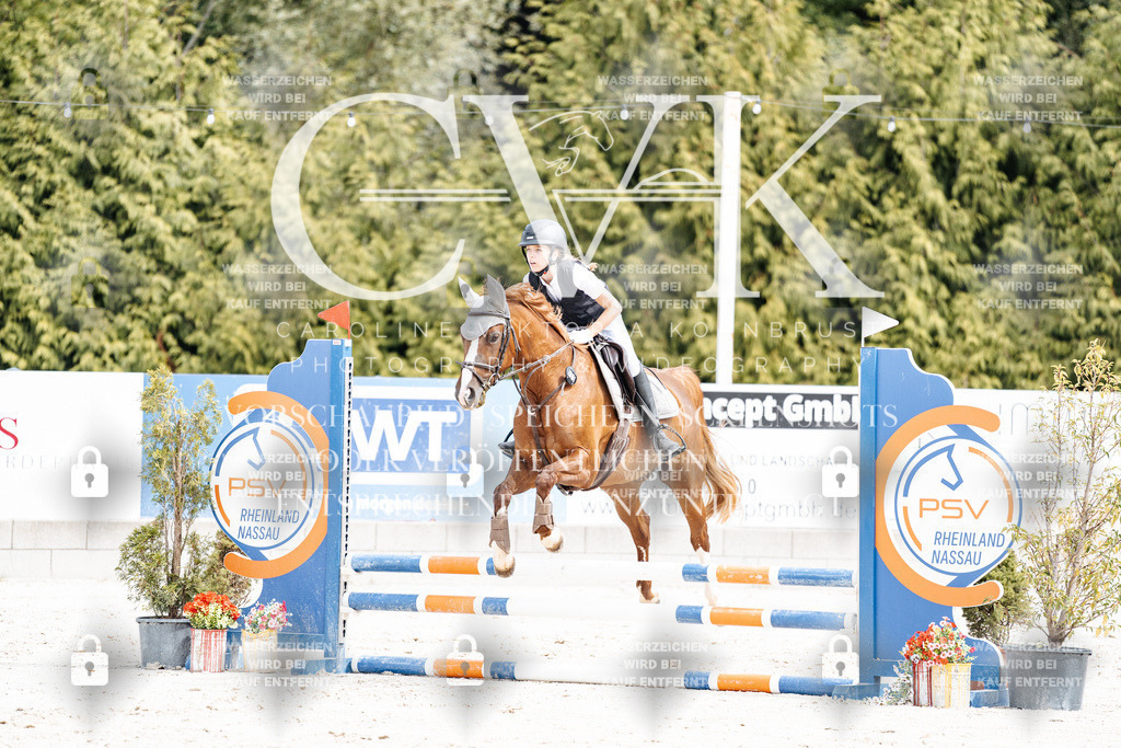 CK906541 | Turnierfotografie Pferdefotografie Trier Rheinland-Pfalz Pferdesport Reitsport Tierfotografie Sportfotografie Pferdevideo Pferdevideografie Equestrianvideography equestrianphotography  - Realisiert mit Pictrs.com