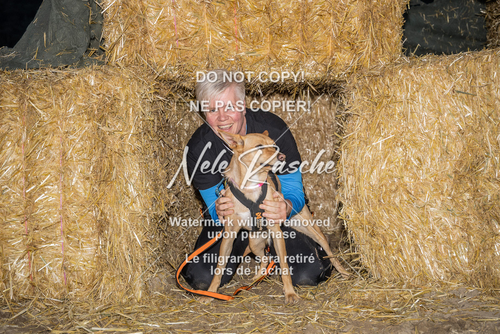 nelerasche_FrNacht_253 | nelerasche