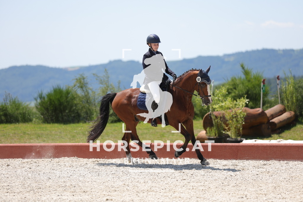 0P6A6331 | Willkommen bei Brunnmayr - Design & Fotografie – Ihrem Spezialisten für Reitturniere und Pferdeveranstaltungen in Oberösterreich, Salzburg und Bayern! Seit über 17 Jahren sind wir leidenschaftlich dabei.