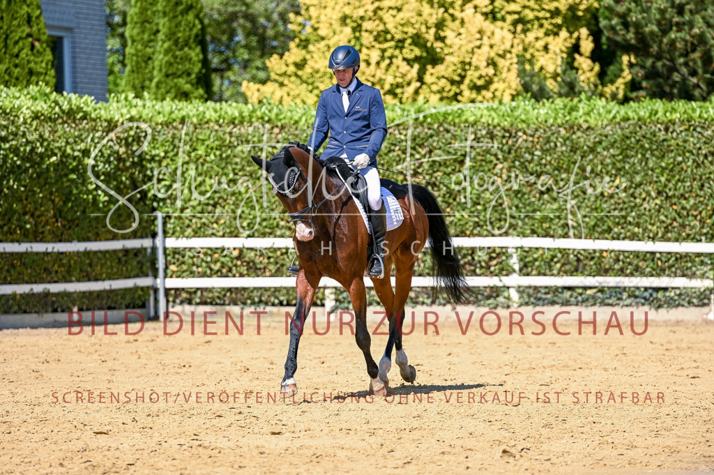 Schugtsche-Aluta25-50.Dressurpferdeprf.L-31 | Schugtsche Fotografie - Realisiert mit Pictrs.com