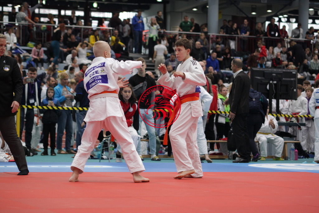 IMG_2689 | Fotos vom Adler Cup - Pictures from Adler Cup

Hier findet Ihr alle Eindrücke und großen Momente der Adler Cup Wochenenden. Here you will find all impressions and great moments of the Adler Cup weekends. - Realisiert mit Pictrs.com