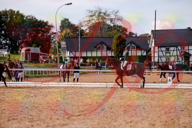 2026_10_03_Siefer-Hof_133120_Z81_84790620 | Professionelle Reitsport-, Turnier- und Eventfotografie von Robert Broda. Galerien mit ausgewählten und bearbeiteten Bildern direkt online ansehen und bestellen.