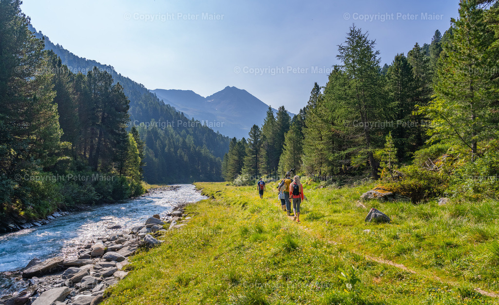 Wildtierbeobachtung_Oberhaus_Erlebnisraum_Wald_23_Peter_Maier-158 | piet_flosse
