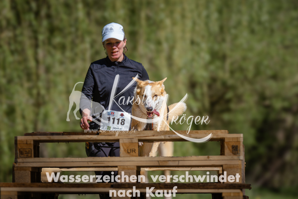 1019_ZZ94775 | kk-dogfotos