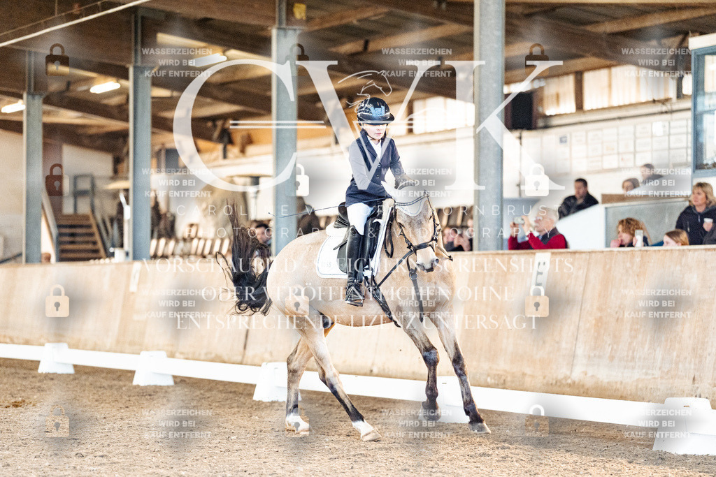 CK907391 | Turnierfotografie Pferdefotografie Trier Rheinland-Pfalz Pferdesport Reitsport Tierfotografie Sportfotografie Pferdevideo Pferdevideografie Equestrianvideography equestrianphotography  - Realisiert mit Pictrs.com