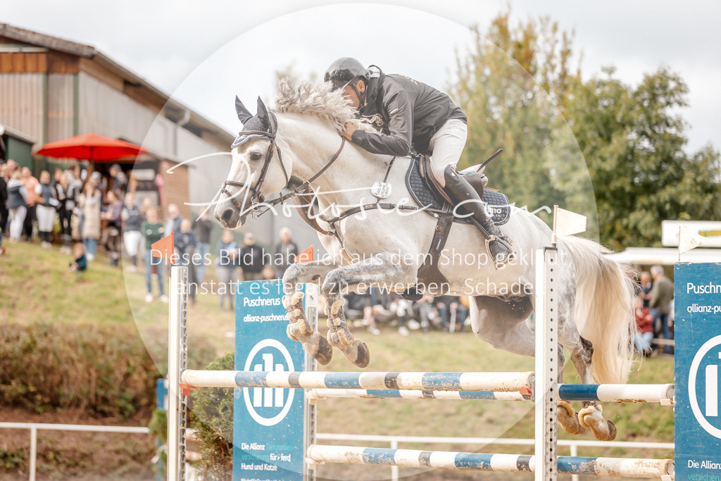 3I6A8229 | Stimmungsvolle Portraits und Reitsportfotografie im Ruhrgebiet und im Münsterland.

Pferdefotografie, Hundefotografie, Tierfotografie, Reportagen, Portraits von Tier und Mensch, Turnierfotografie in Bochum, Recklinghausen, Marl, Haltern am See, Dülmen.. - Realisiert mit Pictrs.com