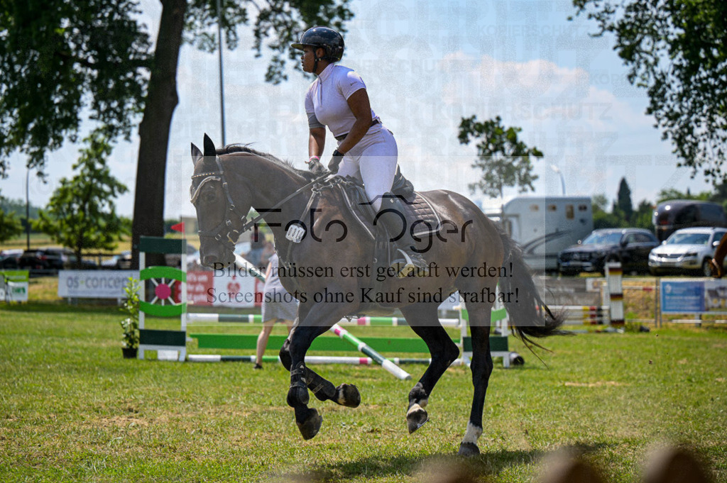 Reitturnier Voxtrup | Entdecke hochwertige Reitturnierfotos von Foto Oger. Professionell, emotional und authentisch – jetzt Lieblingsmomente im Shop bestellen. - Realisiert mit Pictrs.com