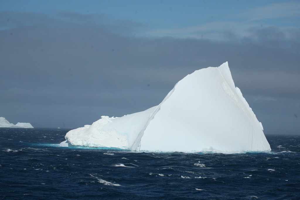 IMG_8564 | Antarktis / Antarctica - Realisiert mit Pictrs.com