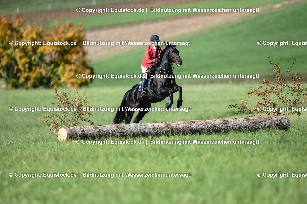20251011_Jagd-Marbach_0216 | Foto: Thomas Hartig