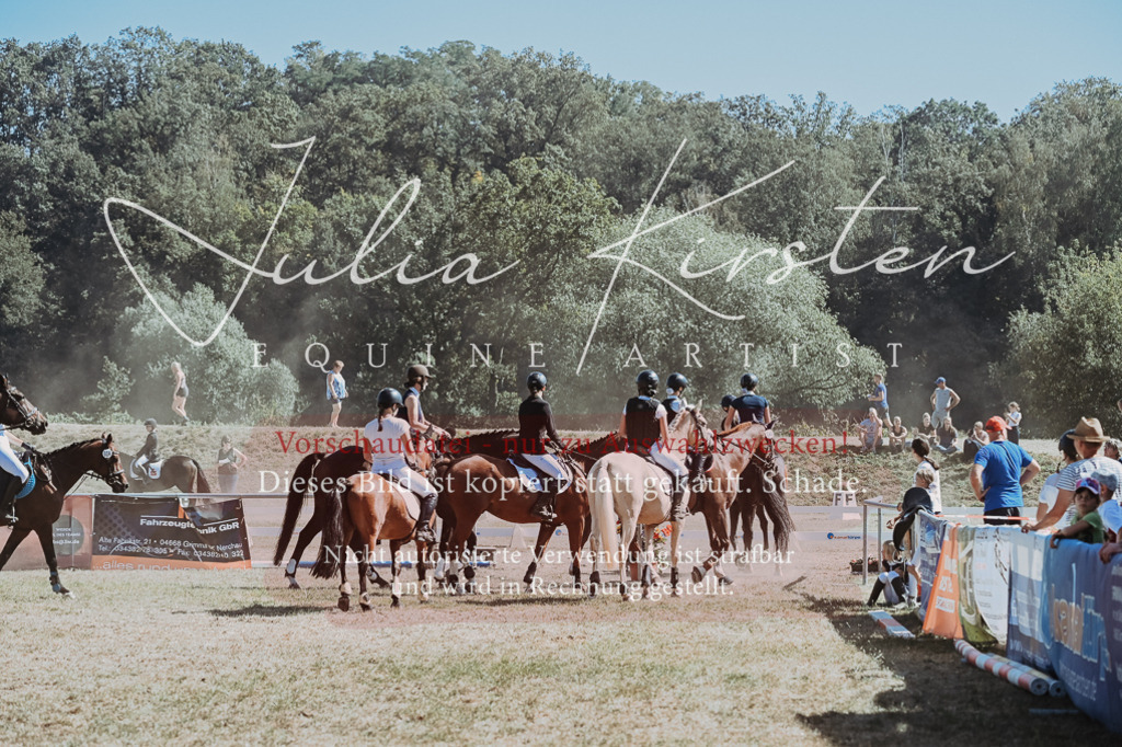 DSC_0175 | Pferde- und Turnierfotografie in Westsachsen. Pferdeportraits, Auftragszeichnungen und intuitive Kunst.