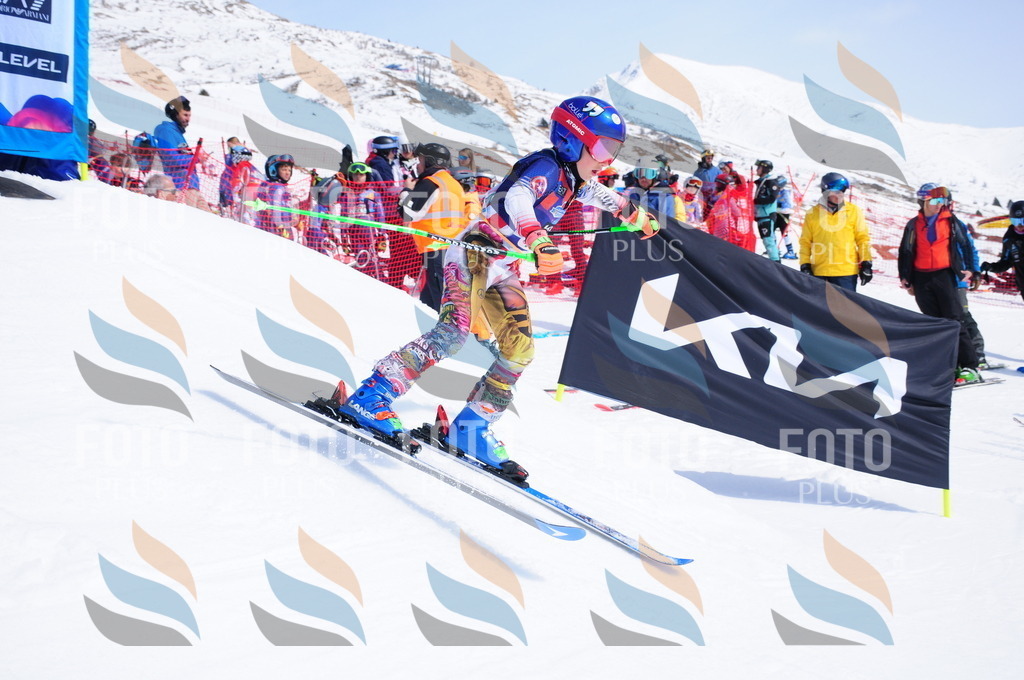 DSC_1513 | holidayphoto