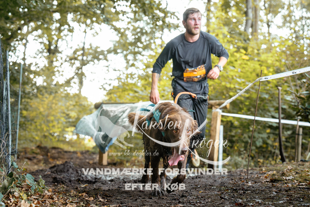 1409DZ6_1128Z6 | kk-dogfotos