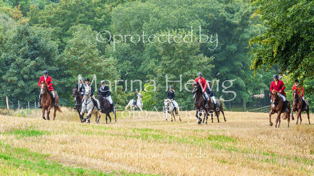 Jagd Kletkamp 26-02858_MarinaHewig | Fotografie, FotoArt, PferdesportArt, Pferdesportfotografie, Landschaftsfotografie, Reisefotografie, Reise, Pferde - Realisiert mit Pictrs.com