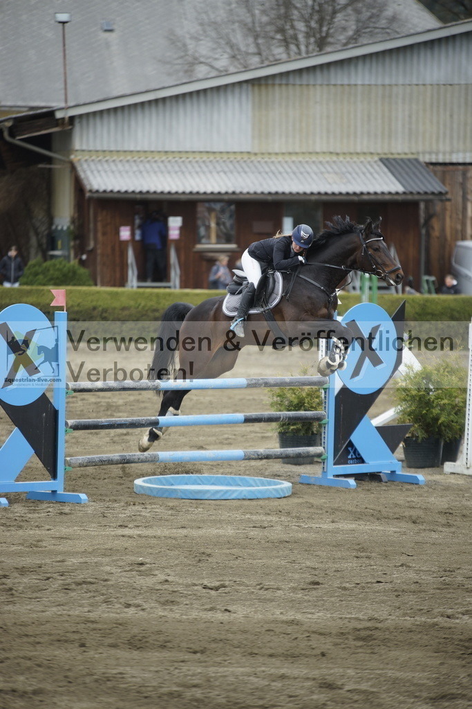_DSC7386 | equestrian-live-com