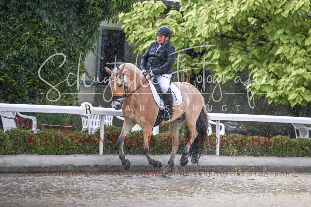 Schugtsche-Aluta25-54.Dressurprf.L1Trense-94 | Schugtsche Fotografie - Realisiert mit Pictrs.com