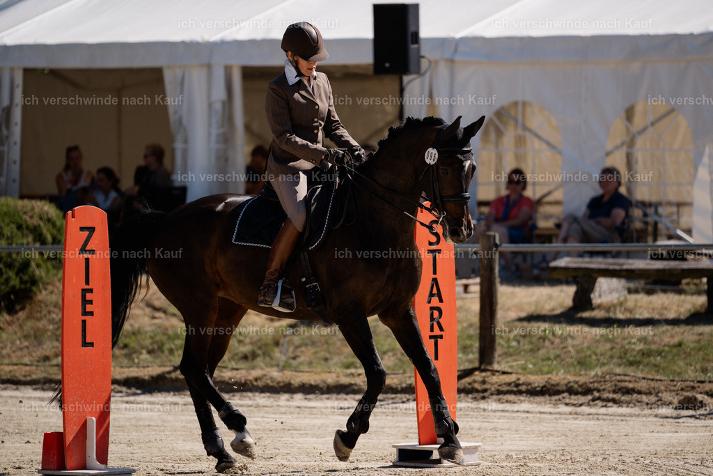 WM_ST_95_stoibphotography__SO11745 | working equitationturnier fotograf videograf stoibphotography marixx film working equitation deutschland reitsport turnierfotografie eventfotografie equestrian events