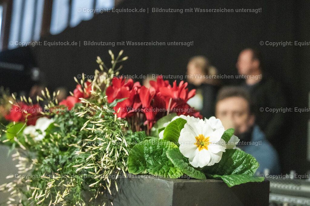 20240302_Hengstvorstellung_Marbach_TOMsPiC_0060 | equistock