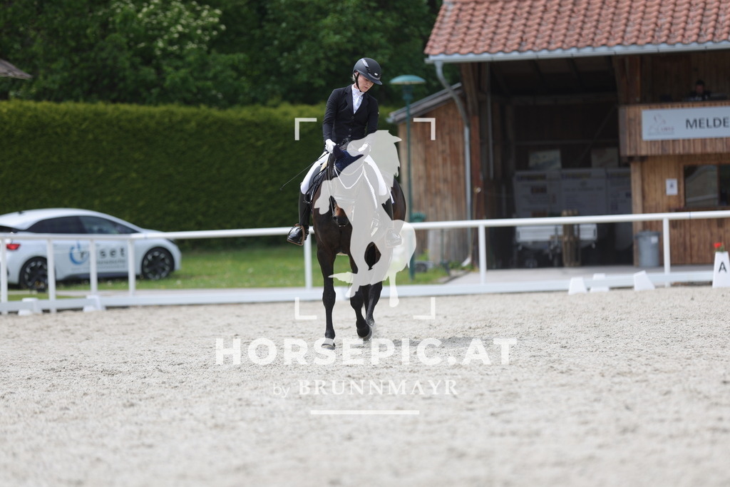 0P6A5573 | Willkommen bei Brunnmayr - Design & Fotografie – Ihrem Spezialisten für Reitturniere und Pferdeveranstaltungen in Oberösterreich, Salzburg und Bayern! Seit über 17 Jahren sind wir leidenschaftlich dabei.